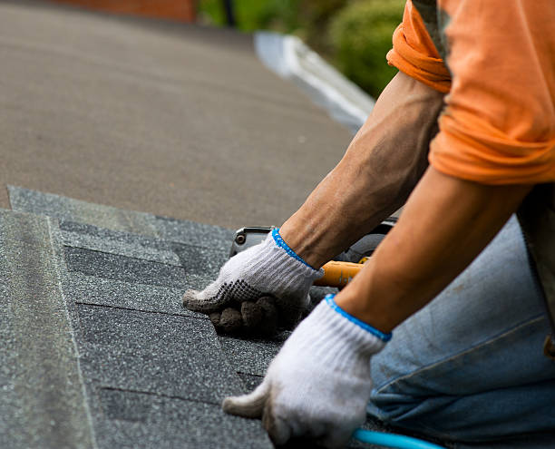 Best Shingle Roofing Installation  in Winchester, MO